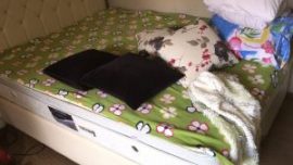 Baza Yatak çift Kişilik